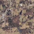 Tree blocks roadway on Welcome Home Drive