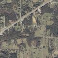 Loose livestock reported near County Road 322
