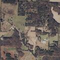 Verbal family disturbance reported on Kudzu Road involving intoxicated male