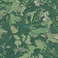 Elderly woman with pain and altered status near Belton