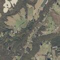 Single-car crash on County Road 121 in Valley Head
