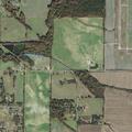 Psychiatric emergency reported near Phillips Road