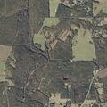 Report of intruder on rural property