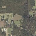 Report of child abuse and neglect in Mentone