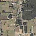 Suspect detained after foot chase on US 431
