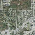 Person suffered a fall near Whistling Pine Street