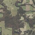 Disorderly conduct reported near County Road (number withheld) in Henagar