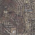 Fireworks disturbance reported at Forest Park