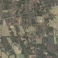 Person blacked out and is alert near Polk County