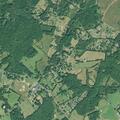 Man unconscious from low blood sugar near Pelzer