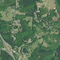 Person fell near Watson Road and Ridge Springs Road