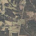 Unconscious man found near County Road 124 in Tishomingo