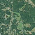 Person reported sick near Old Pelzer Road
