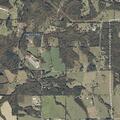 Loose bulls in roadway near County Road 764