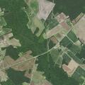 Medical call near Rozier Siding Road in Lumberton