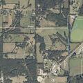 Car hits deer on Highway 15 near County Road 814