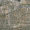 Person bitten by dog in Cottonwood area