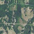 Person reported ill near Pine Ridge Road
