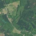 Man falls and loses feeling in legs near Mud Ridge Road