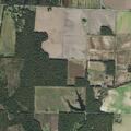 Grass fire reported near Price Road and Newkirk