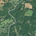 Person with diabetic problems near Dalton Road in Piedmont