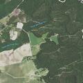 88-year-old man falls near NC Highway 210 East