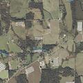 Unwanted guest complaint at home on County Road 141
