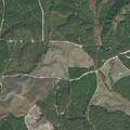 Grass fire from fireworks spreads near woods
