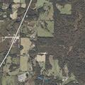 Large tree blocking County Road 55 in Flat Rock