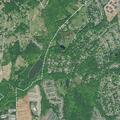 Elderly man fell and needs medical evaluation