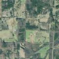 Loose horses reported in roadway on Catlett Road