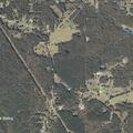 Diabetic patient reported at Co Rd 247 in Iuka