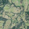 Child bitten by snake near Brock Road