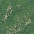 Emergency response dispatched near Bulldog Drive, Mountain Rest