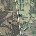 56-year-old female feeling dizzy on Highway 75 lot 18