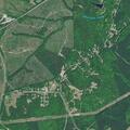 Domestic dispute reported on Rowells Road