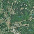 Person reported sick near Highway 56 in Pauline, SC