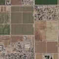 Person found not breathing and choking on vomit at Mohave Valley
