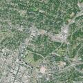 Person possibly carrying gun on Lavinia Avenue