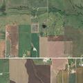 Mule reported stabbed at rural property