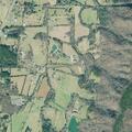 Man bitten by dog near Crystal Lane in Ringgold