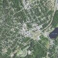 Loose dogs chase child on East Columbia Avenue