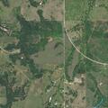 Loose cows in and out of roadway near Signal Hill