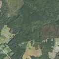 Person experiencing a diabetic emergency at Catfish Lake Rd