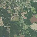 iPhone crash alert near US 117 in Magnolia