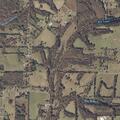 11-year-old boy found unconscious near County Road (number withheld) in Rogersville
