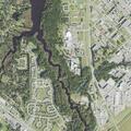 Grass fire reported on Holly Drive