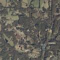 Tree and power lines down on County Road 65