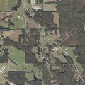 Vehicle hits animal on Alabama Highway 73