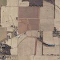 Person flailing arms and yelling at McBride and Moore Farm